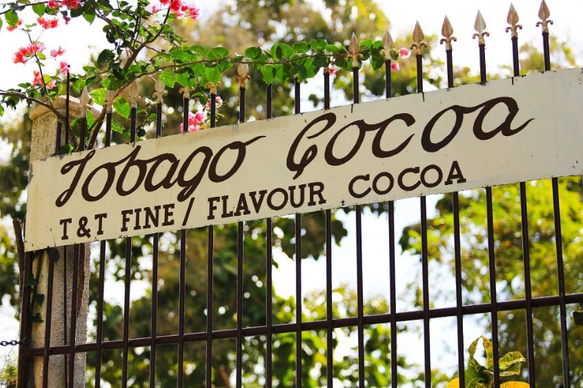 Tobago Cocoa Estate, Roxborough, Tobago, Trinidad and Tobago